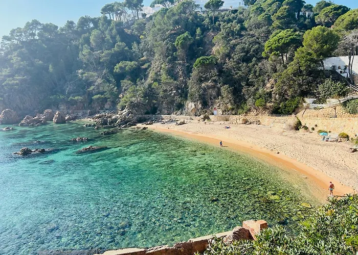 Casa Paradis Rosamar - Luxury Villa With Pool 1Min Walk From Beach Costa Brava!